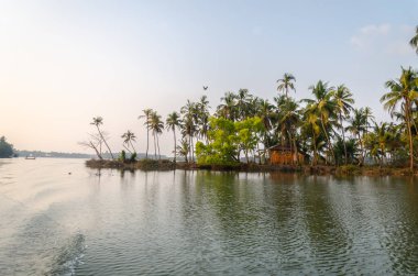 Backwaters of Kemmanu delta