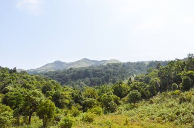Karnataka, Hindistan 'daki Kuduremukh sıradağları