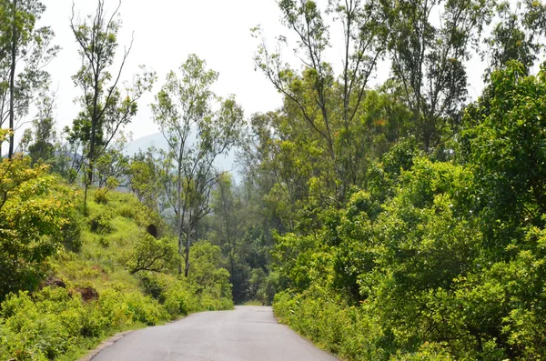 Cime Della Catena Montuosa Del Kuduremukh Nel Karnataka India — Foto Stock
