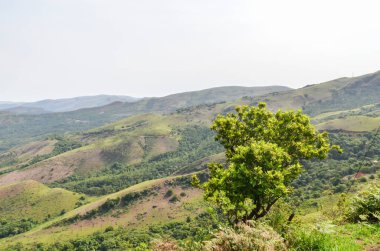 Karnataka, Hindistan 'daki Kuduremukh sıradağları