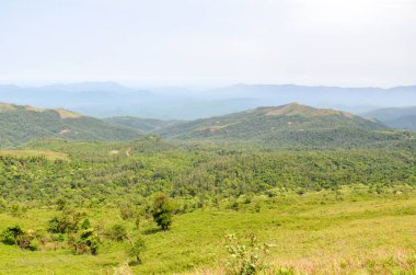 Chickmagalur, Hindistan yakınlarındaki Mullayanagiri sıradağları
