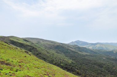 Chickmagalur, Hindistan yakınlarındaki Mullayanagiri sıradağları