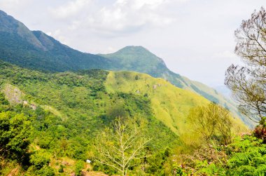 Munnar 'ın puslu dağları, Kerala, Hindistan