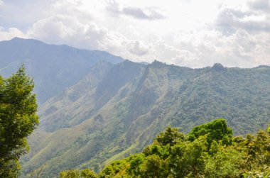 Munnar 'ın puslu dağları, Kerala, Hindistan