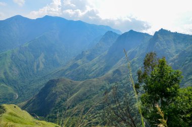 Munnar 'ın puslu dağları, Kerala, Hindistan