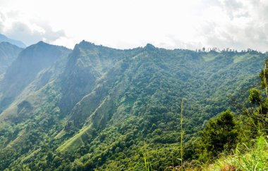 Munnar 'ın puslu dağları, Kerala, Hindistan