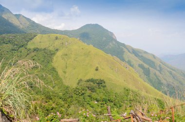 Munnar 'ın puslu dağları, Kerala, Hindistan