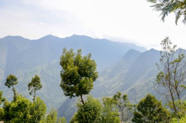 Munnar 'ın puslu dağları, Kerala, Hindistan