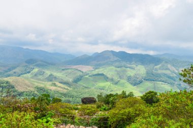 Munnar 'daki Çay Bahçeleri, Kerala, Hindistan