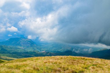 Munnar 'ın puslu dağları, Kerala, Hindistan