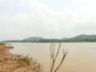 Çamurlu suyla taşmış nehir