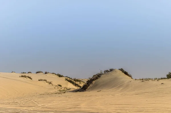 Padrão Ondulado Paisagem Deserto — Fotografia de Stock
