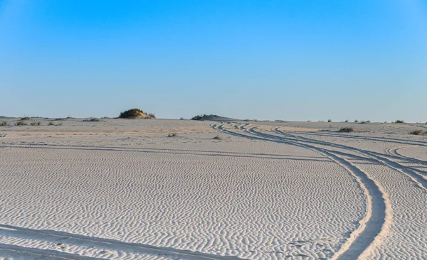 卡塔尔Al Adaid沙漠沙滩上汽车留下的痕迹 — 图库照片
