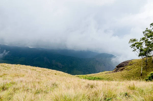 Munnar 'ın puslu dağları, Kerala, Hindistan