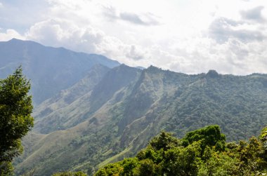 Munnar 'ın puslu dağları, Kerala, Hindistan