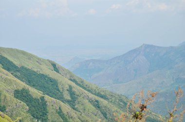 Munnar 'ın puslu dağları, Kerala, Hindistan