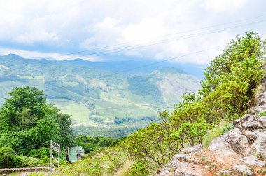 Munnar, Kerala, Hindistan 'ın görkemli sisli dağları