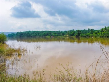 Çamurlu suyla taşmış nehir