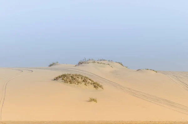 Desert landscape with desert shrubs and tyre tracks in the sand
