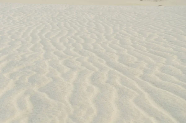 砂の中の波のパターンを持つ砂漠の風景 — ストック写真