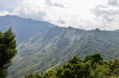 Munnar 'ın puslu dağları, Kerala, Hindistan