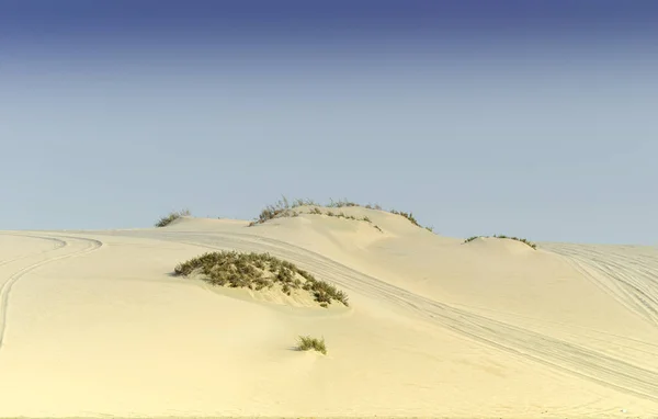 Desert Landscape Tyre Tracks — Stock Photo, Image