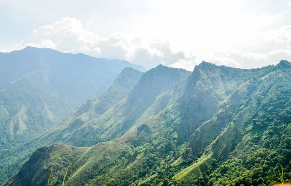 Munnar 'ın puslu dağları, Kerala, Hindistan