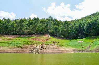 Hindistan 'ın Kerala kentindeki Munnar tepelerinde bir nehir.