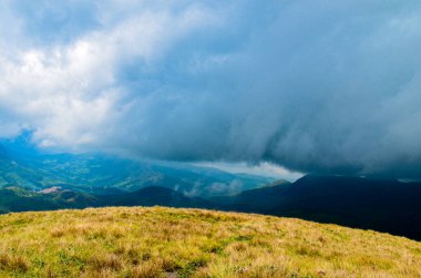 Munnar 'ın puslu dağları, Kerala, Hindistan