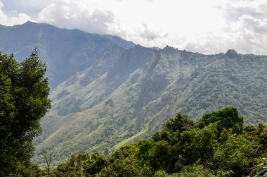 Munnar 'ın puslu dağları, Kerala, Hindistan