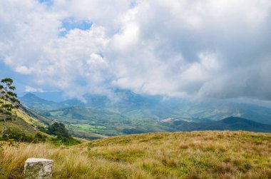 Munnar 'ın puslu dağları, Kerala, Hindistan