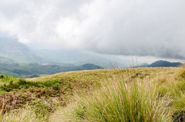 Munnar 'ın puslu dağları, Kerala, Hindistan