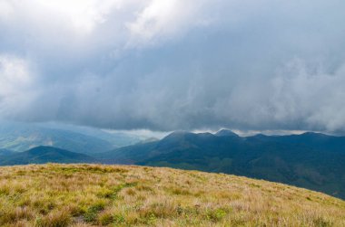 Munnar 'ın puslu dağları, Kerala, Hindistan