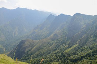 Munnar 'ın puslu dağları, Kerala, Hindistan
