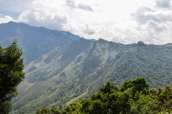 Munnar 'ın puslu dağları, Kerala, Hindistan