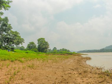 Çamurlu yağmur suyuyla taşmış nehir