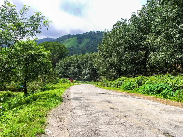Droga Kręta Przez Pagórkowaty Las Madikeri Indie — Zdjęcie stockowe