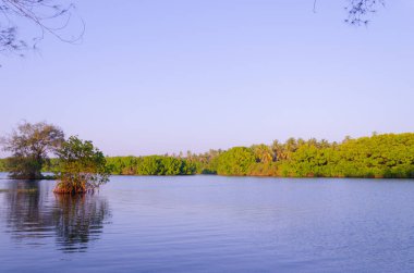 Battapady 'deki durgun sular, Kanvatheertha, Kerala