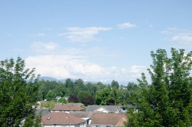 View of Abbotsford, Canada, BC, with Mt. Baker in the background clipart