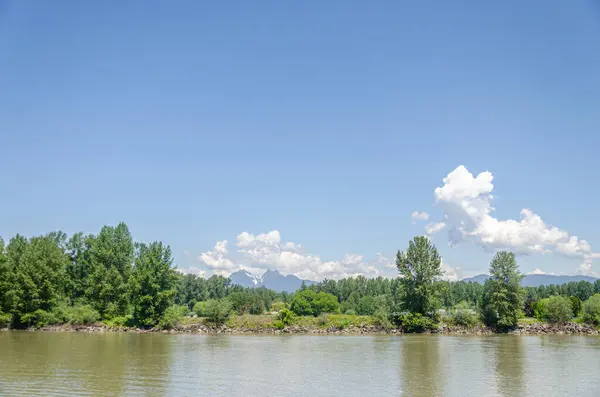 stock image Fraser River at Langley Fort, Canada, BC. Golden Ears Mountains visible in the background