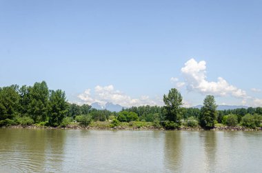Fraser River at Langley Fort, Canada, BC. Golden Ears Mountains visible in the background clipart