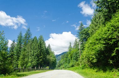 Fraser Vadisi 'nin Mission, British Columbia, Kanada çevresindeki muhteşem manzarası.