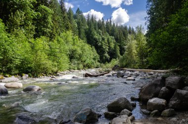Cascade Falls yakınlarındaki Kettle Nehri BC, Kanada 'nın kuzeydoğusunda yer almaktadır.