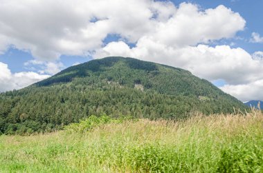 Fraser Vadisi 'nin Mission, British Columbia, Kanada çevresindeki muhteşem manzarası.