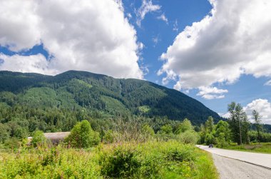 Fraser Vadisi 'nin Mission, British Columbia, Kanada çevresindeki muhteşem manzarası.