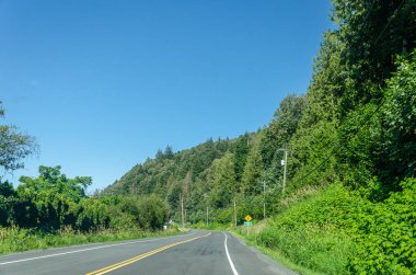 Chilliwack, British Columbia, Kanada çevresindeki Fraser Vadisi 'nin muhteşem manzarası