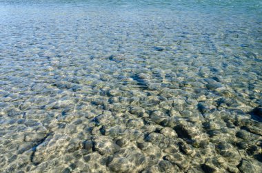 Vedder Riverbed 'in kristal berrak suyla görülebilen çakıl taşlarıyla muhteşem bir manzarası var. Güneş ışığı Chilliwack, British Columbia, Kanada 'daki sığ nehirde sürüngenlerin üzerinde parlıyor.