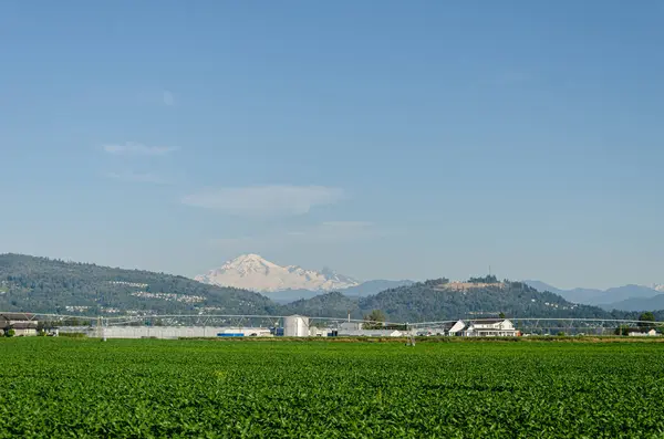 stock image Agricultural farms in Mission, Fraser Valley, British Columbia, Canada