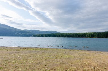 Chilliwack, Fraser Valley, British Columbia, Kanada 'daki Cultus Gölü' nün doğal güzelliği bulutlu bir günde