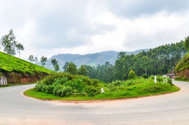 Munnar, Kerala, Hindistan 'daki Çay Bahçeleri' nden geçen yol.